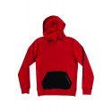 Bluza Quiksilver Big Logo Technical Hoodie