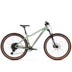 Rower Kross DUST 1.0 2020