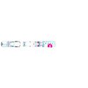 Narty Rossignol TERRAIN GIRL BABY