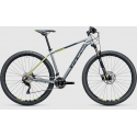 Rower Cube Attention SL 29"