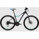 Rower Cube Access WLS EXC 29"