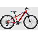 Rower Cube Kid 240 24"