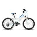 Rower Kross Level Mini
