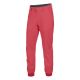 Spodnie Trekkingowe Spodnie Salewa AGNER DST ENGINEERED W PANT 26263 Salewa